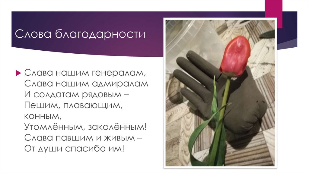 Слова благодарности