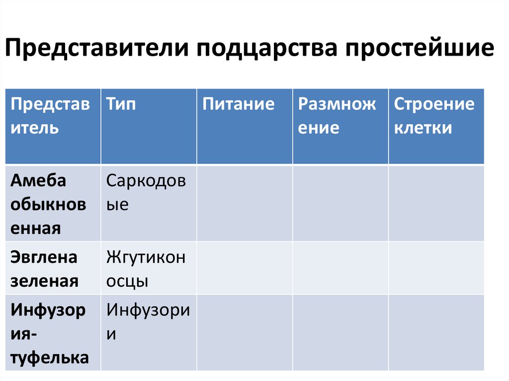 Представители подцарства простейшие