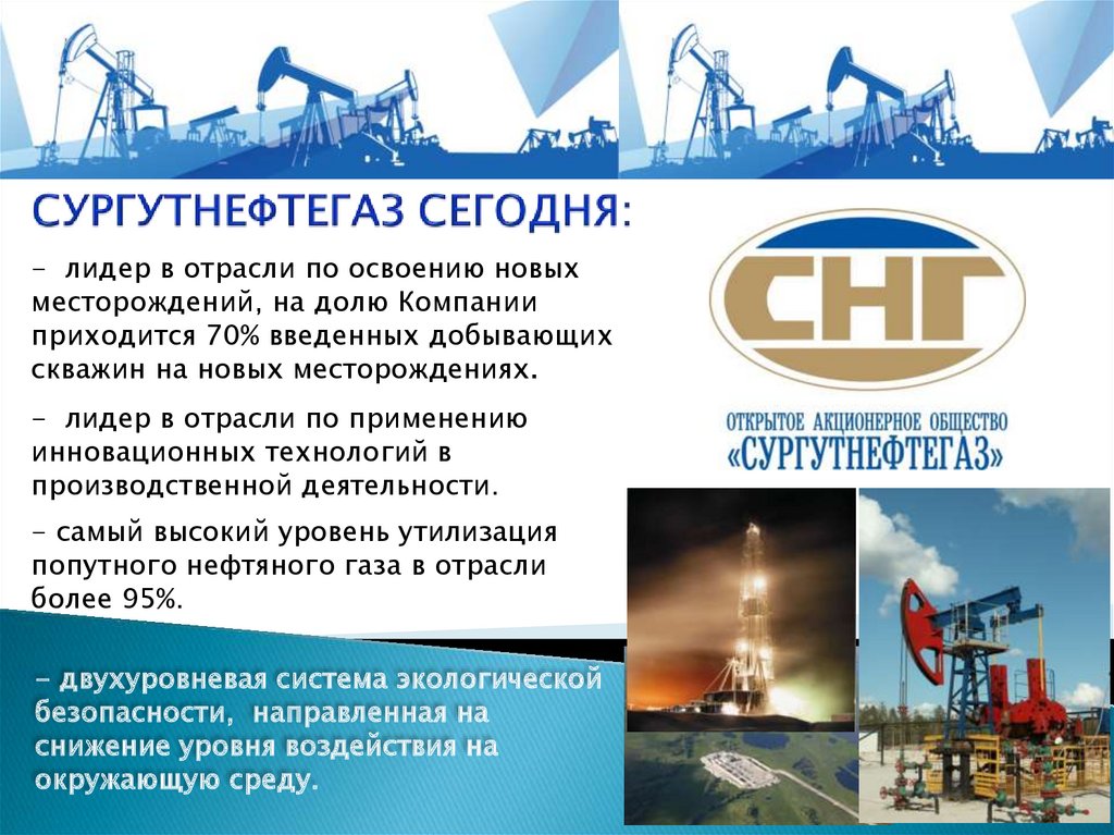 Социальные проекты сургутнефтегаз