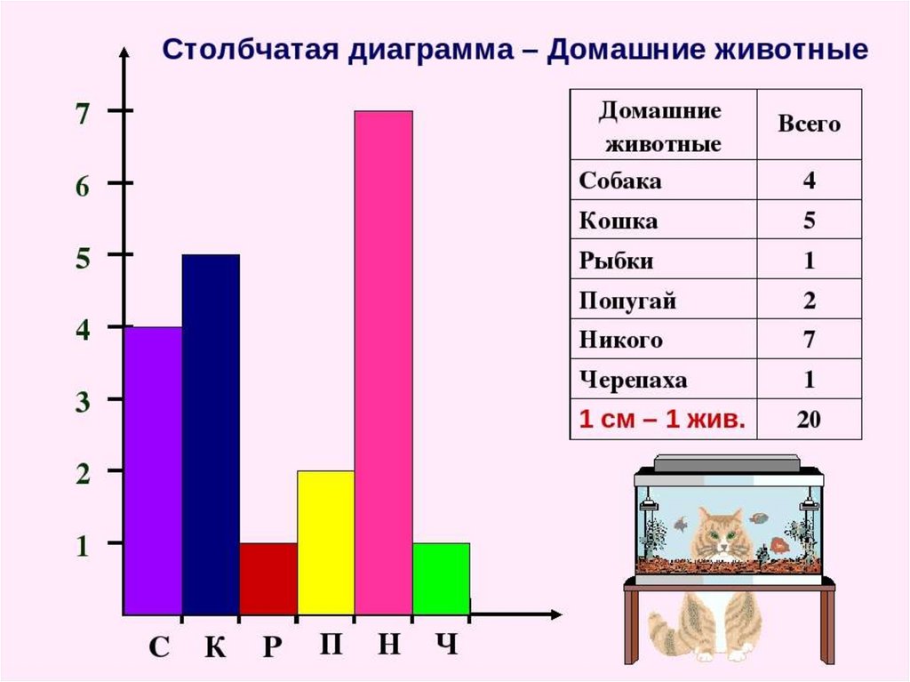 Что такое диаграмма 7 класс вероятность. Что такое диаграмма 7 класс вероятность