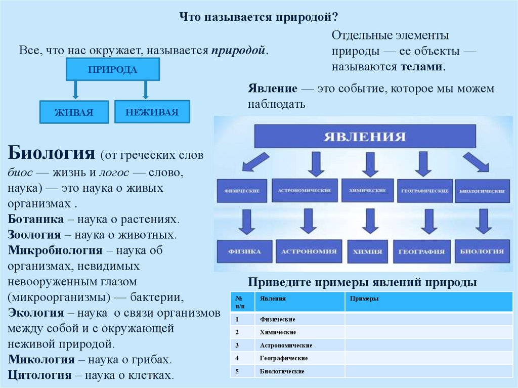 Краткий конспект 6 класс