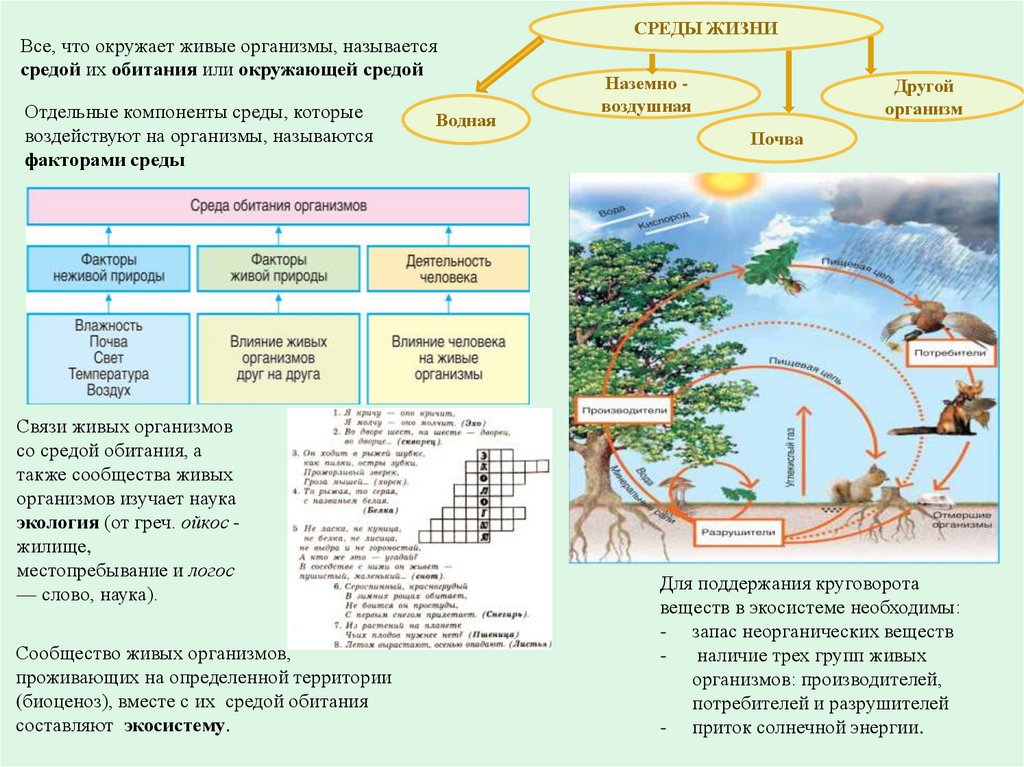 Сосна какая группа организмов