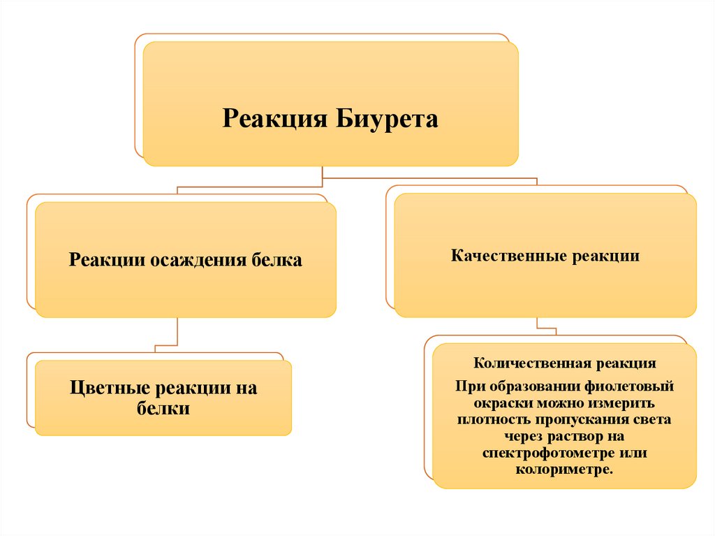 Что объединяет и в чем отличие биологических объектов изображенных на рисунке картофель и побег