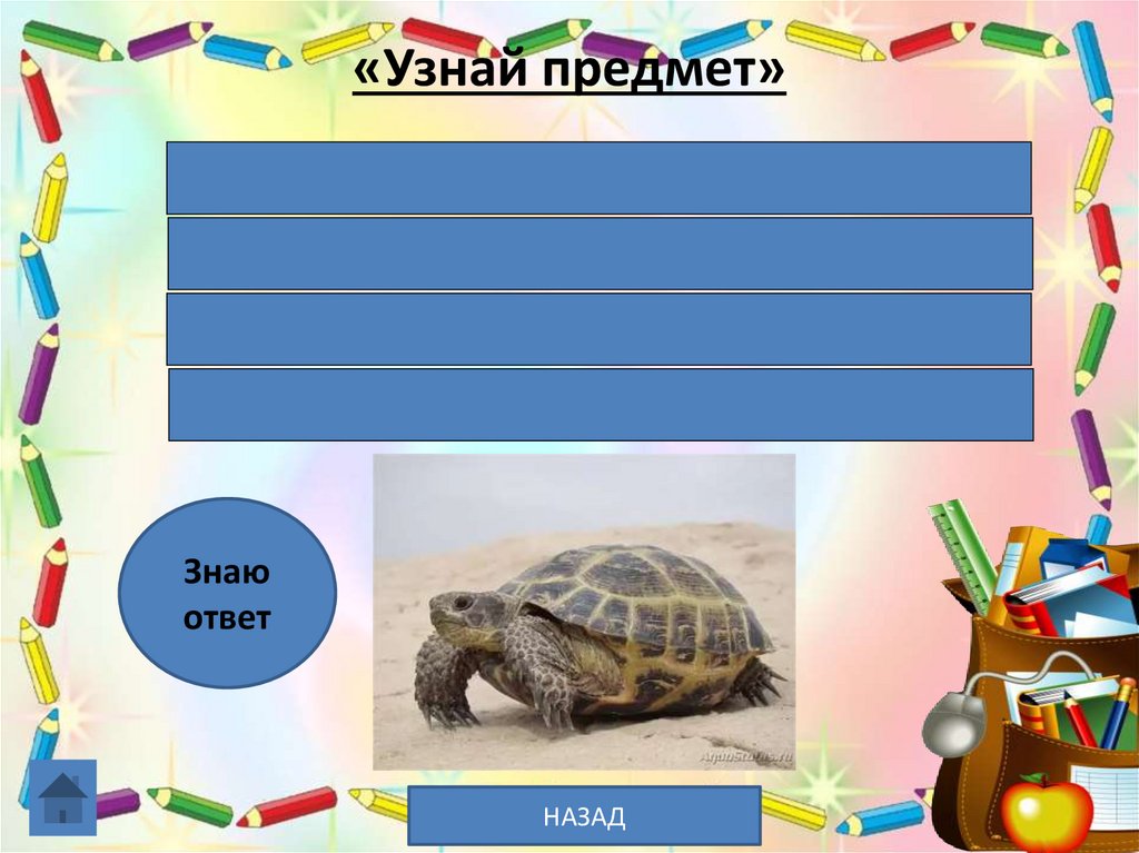 «Узнай предмет»