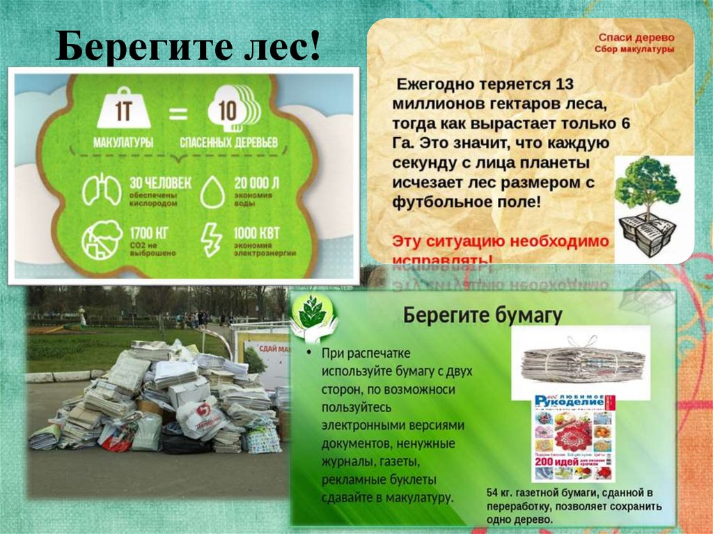 Берегите лес!