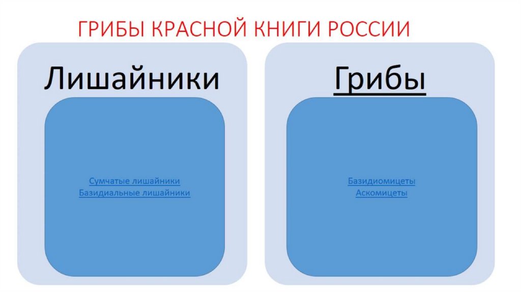 ГРИБЫ КРАСНОЙ КНИГИ РОССИИ