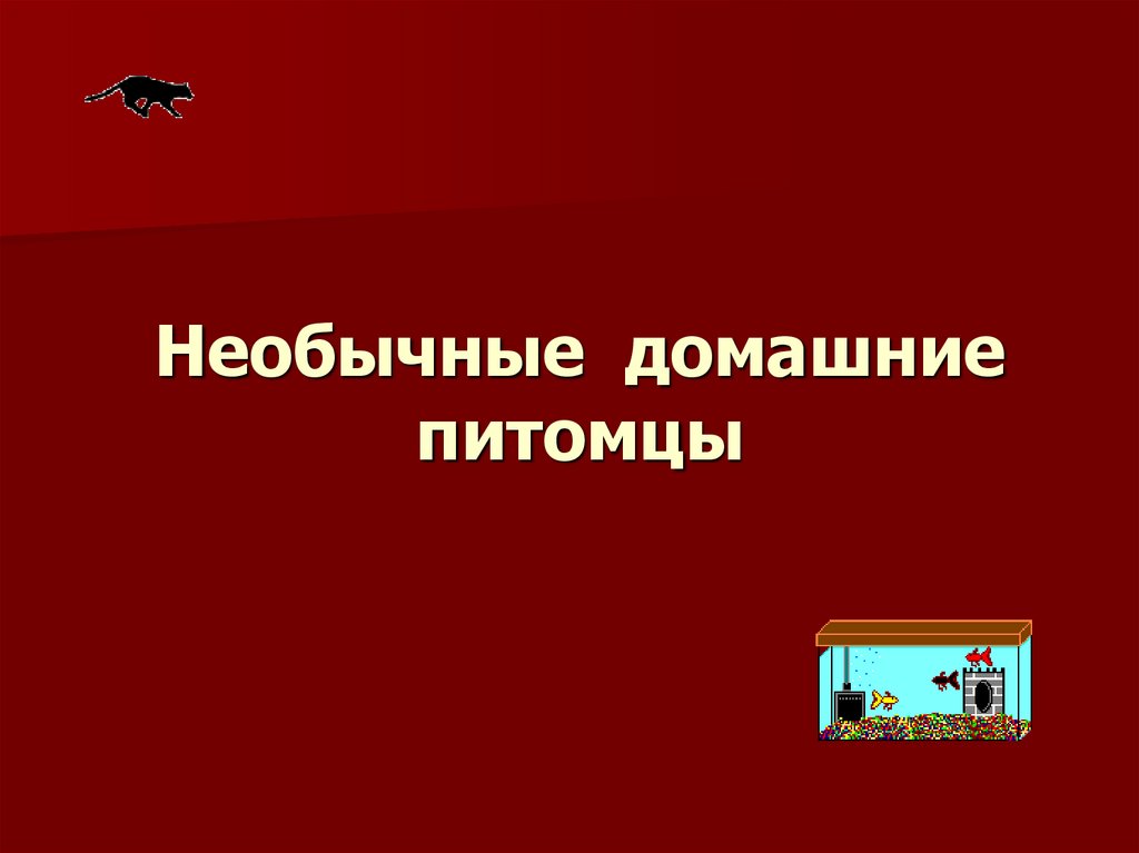 Необычные домашние питомцы