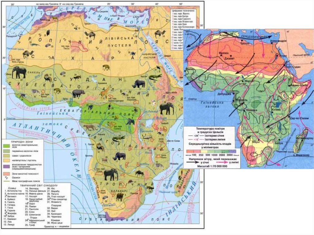 5 природных зон африки. Карта природных зон Африки. Природные зоны Африки. Карта природных зон Африки 7 класс. Природные зоны Африки 7 класс.