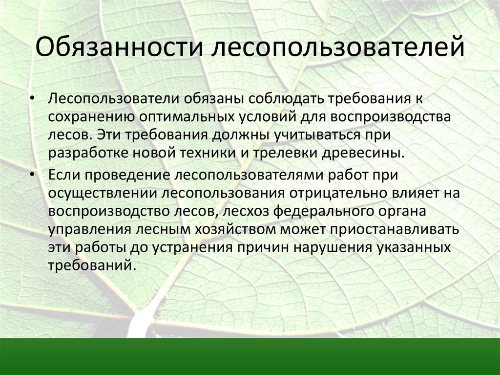 Электронные документы лесопользователя. Обязанности лесопользователей. Лесопользователи обязаны. Права и обязанности лесопользования. Искусственное воспроизводство леса это.