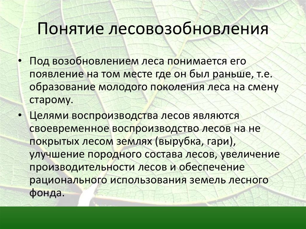 Защитное лесоразведение презентация