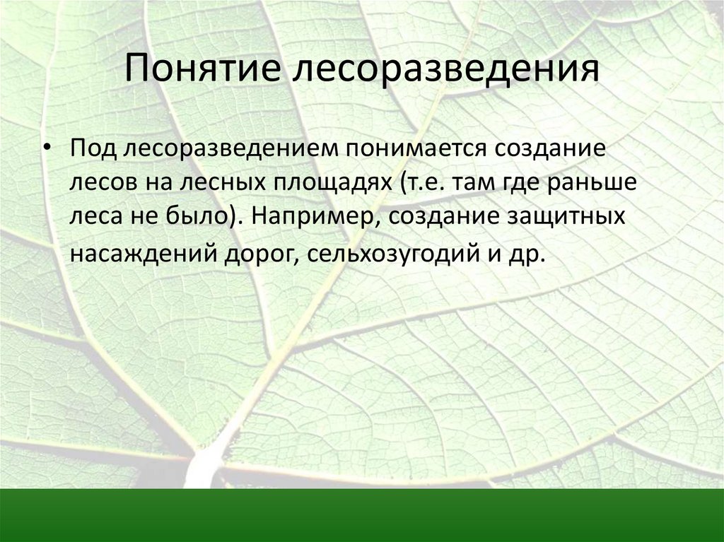 Защитное лесоразведение презентация