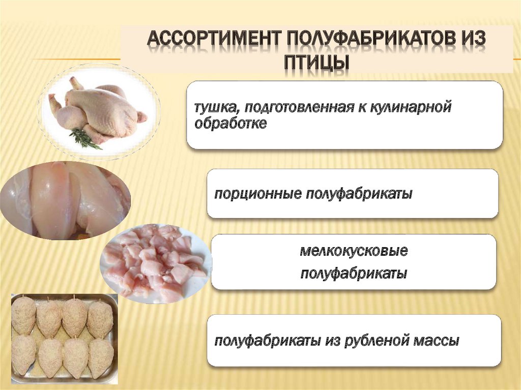 Полуфабрикаты из птицы. Порционные полуфабрикаты из птицы. Мелкокусковые полуфабрикаты из птицы. Мелкокусковые полуфабрикаты из рыбы. Порционные полуфабрикаты из индейки.