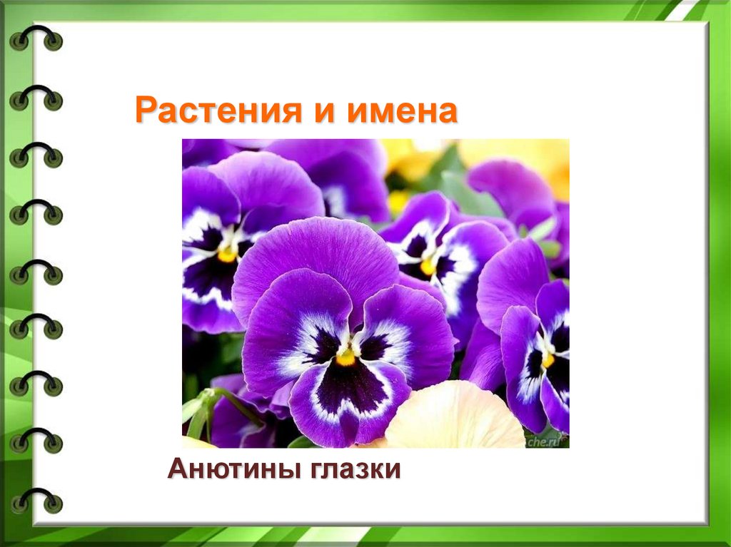 Презентация зачем людям имена 1 класс русский родной язык школа россии