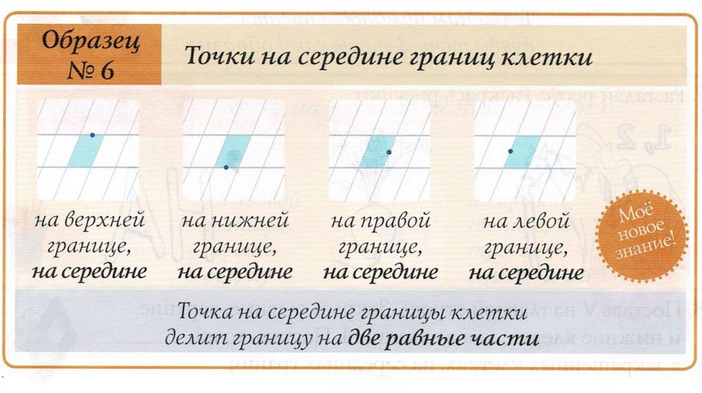 Граница клетки. Границы клетки в школе. Задание на границу клеток. Границы клеток в математике для школьника. Задания чтобы ребенок увидел границы клеток.