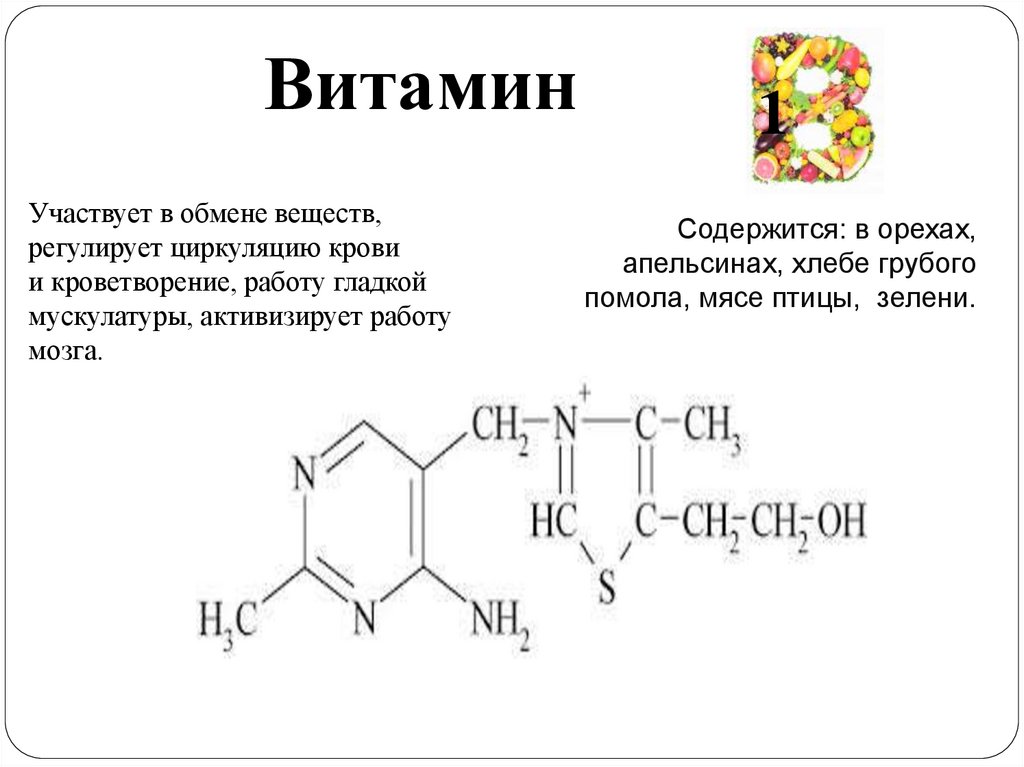 Функция витаминов в обмене веществ