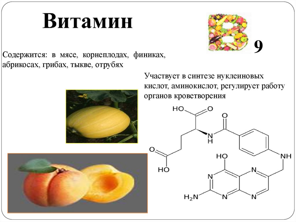 Синтез витаминов в организме