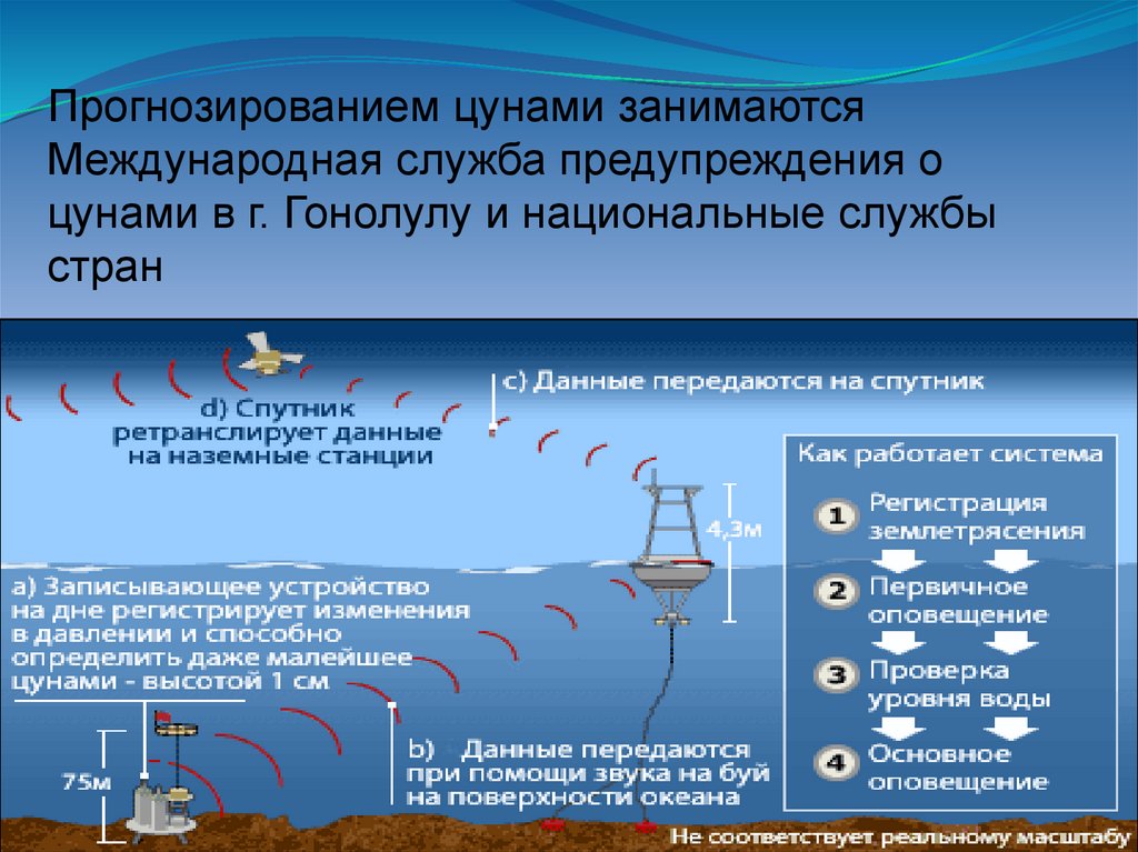 Проект цунами можно ли предотвратить трагедию