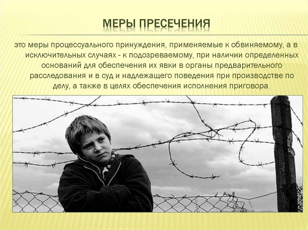 Меры пресечения презентация