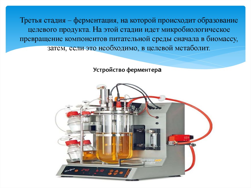 Функция ферментации. Стадии ферментации. Ферментация в биотехнологии. Стадии производства биотехнологического производства. Этапы промышленной ферментации.