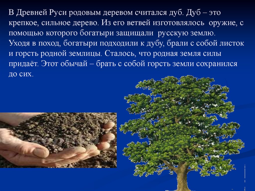 В Древней Руси родовым деревом считался дуб. Дуб – это крепкое, сильное дерево. Из его ветвей изготовлялось оружие, с помощью
