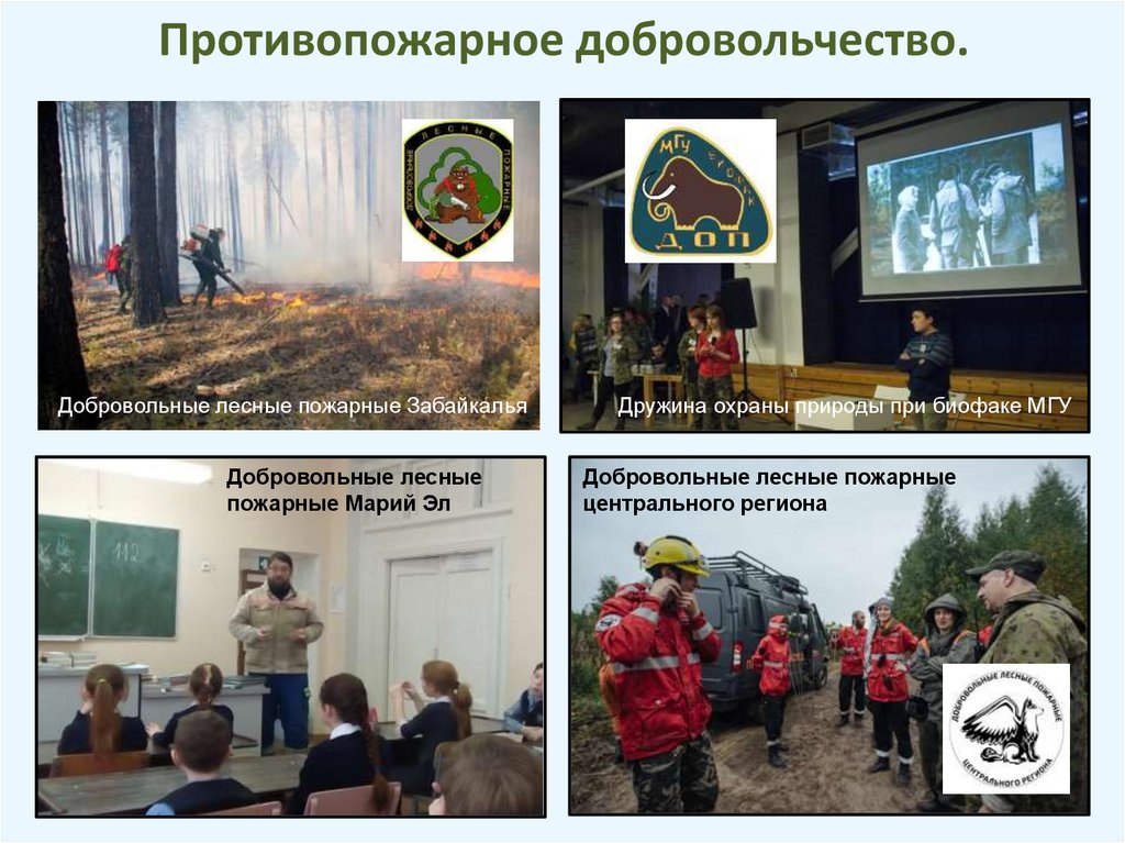 Противопожарное добровольчество.