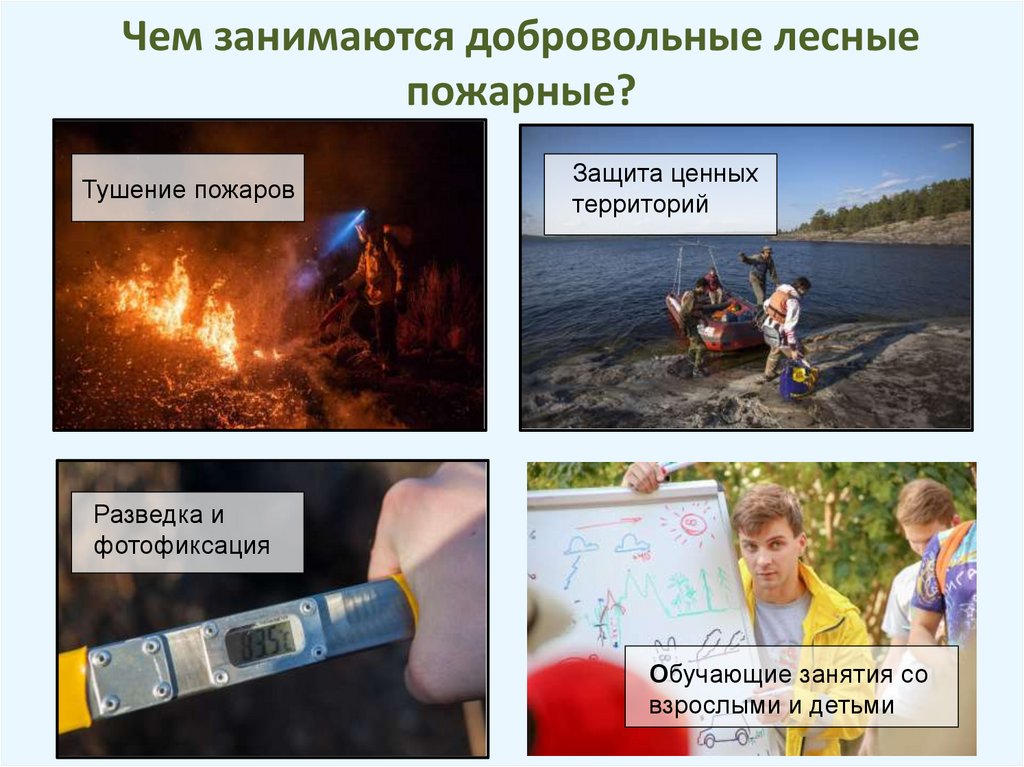 Чем занимаются добровольные лесные пожарные?