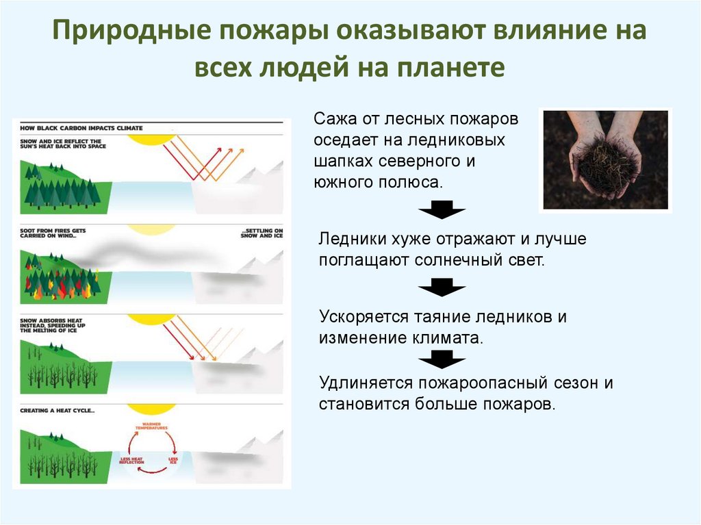Природные пожары оказывают влияние на всех людей на планете
