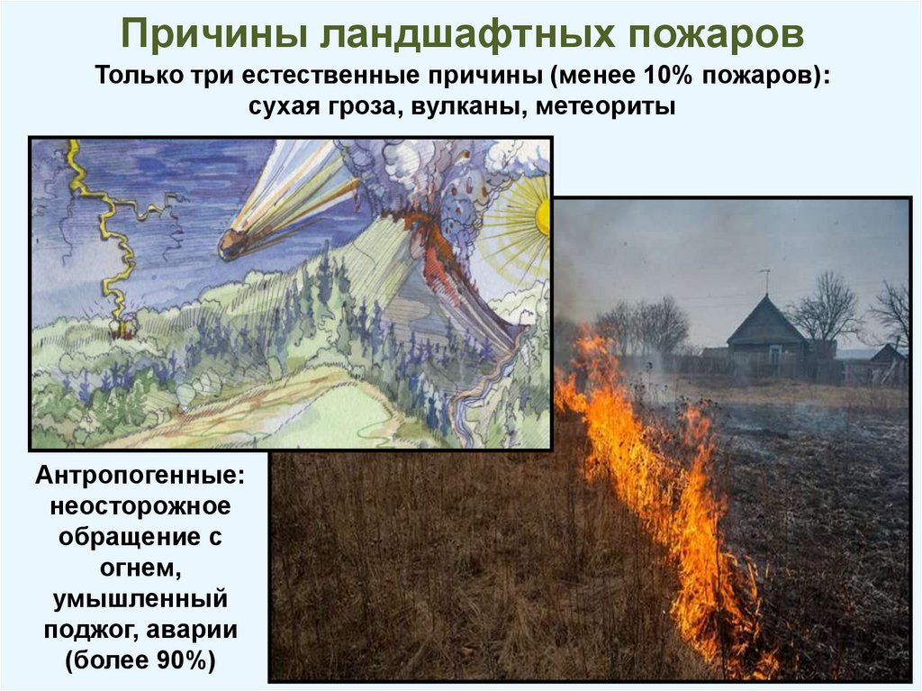 Причины ландшафтных пожаров