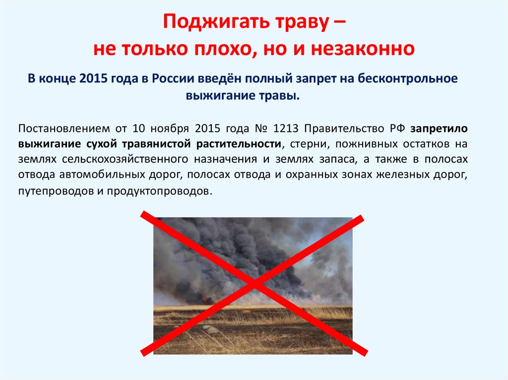 Поджигать траву – не только плохо, но и незаконно