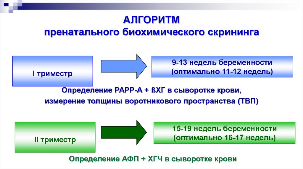 Профилактика наследственной и врожденной патологии презентация