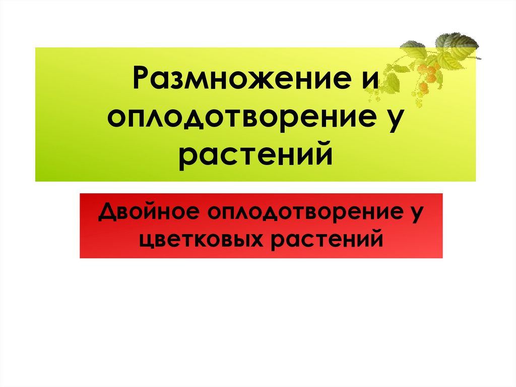 Размножение и оплодотворение у растений 6 класс презентация