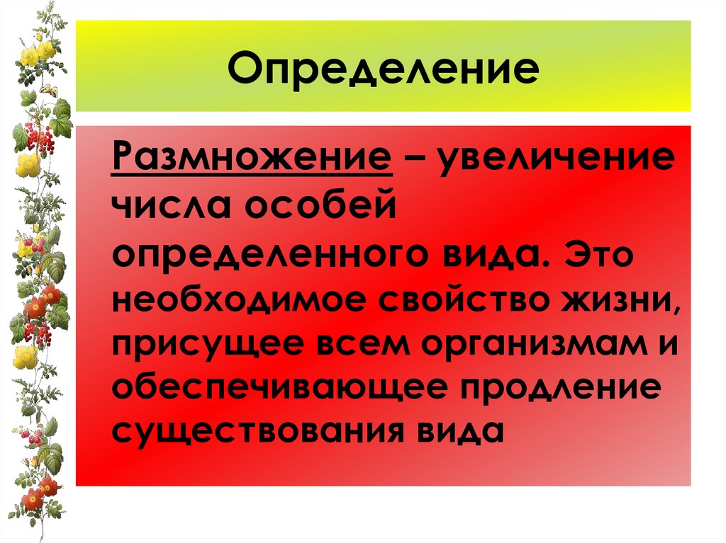 Биология презентация размножение