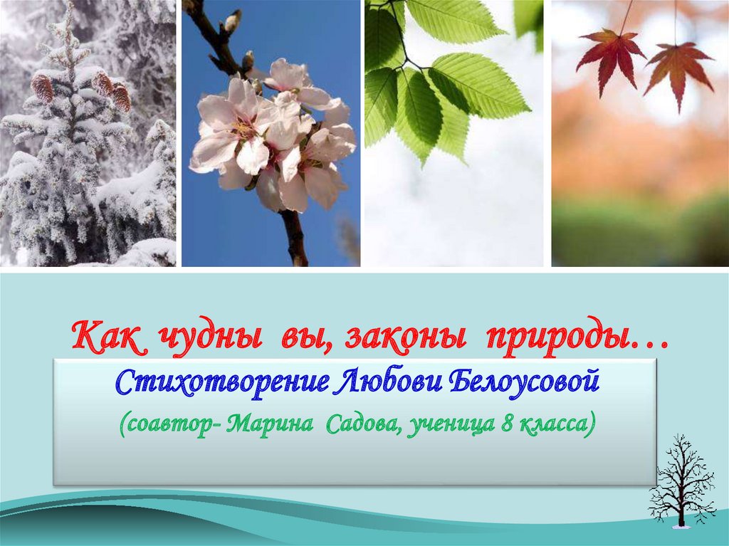 Закон природы текст. Стихи о природе как чудны вы законы природы. Садовая Марина стихи. Марина Садова шып текст.