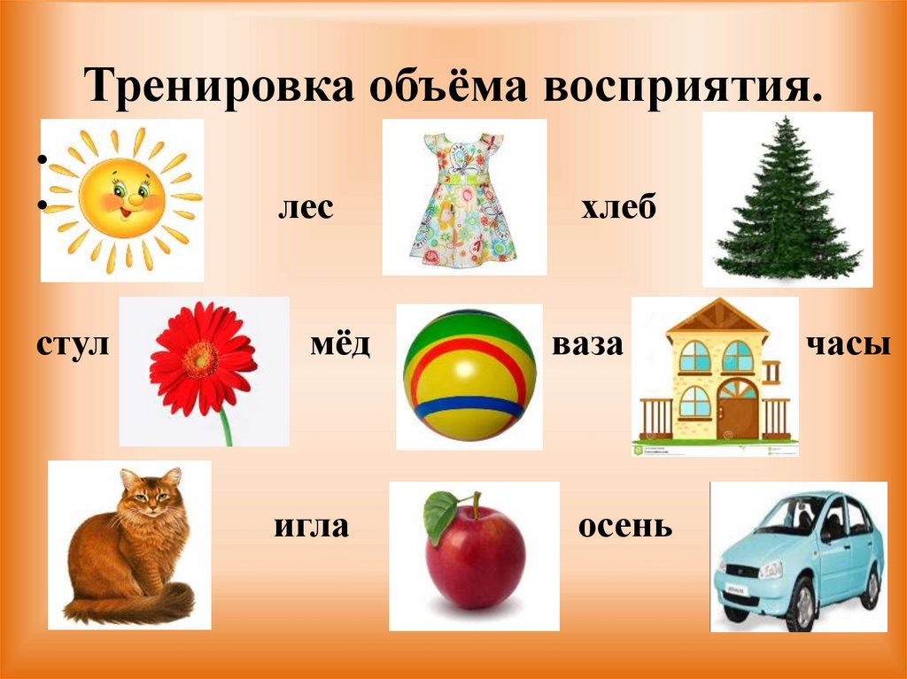 Тренировка объёма восприятия.