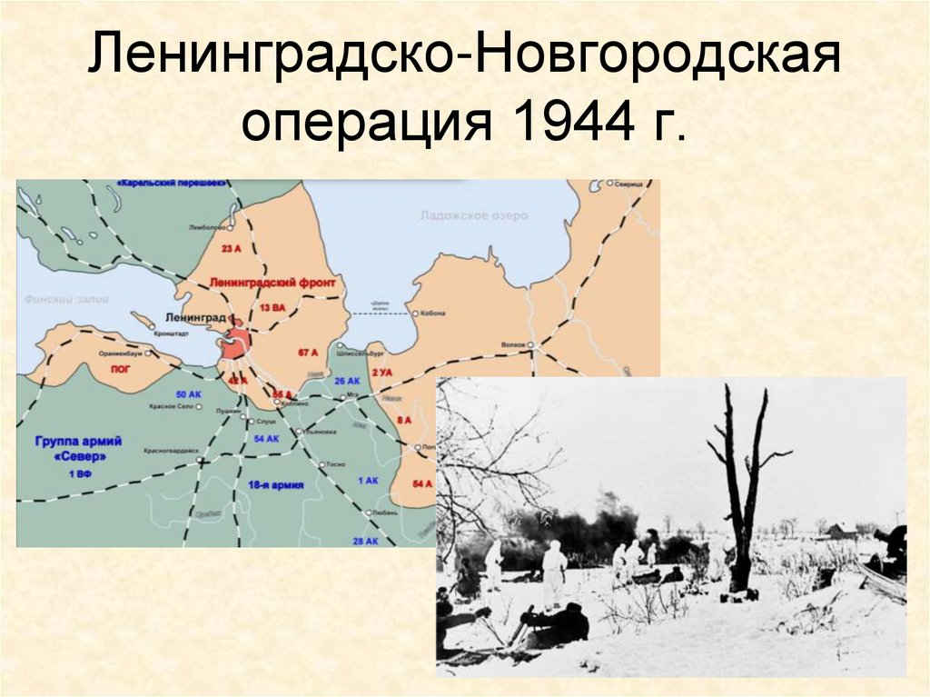 Ленинградско-Новгородская операция 1944 г.