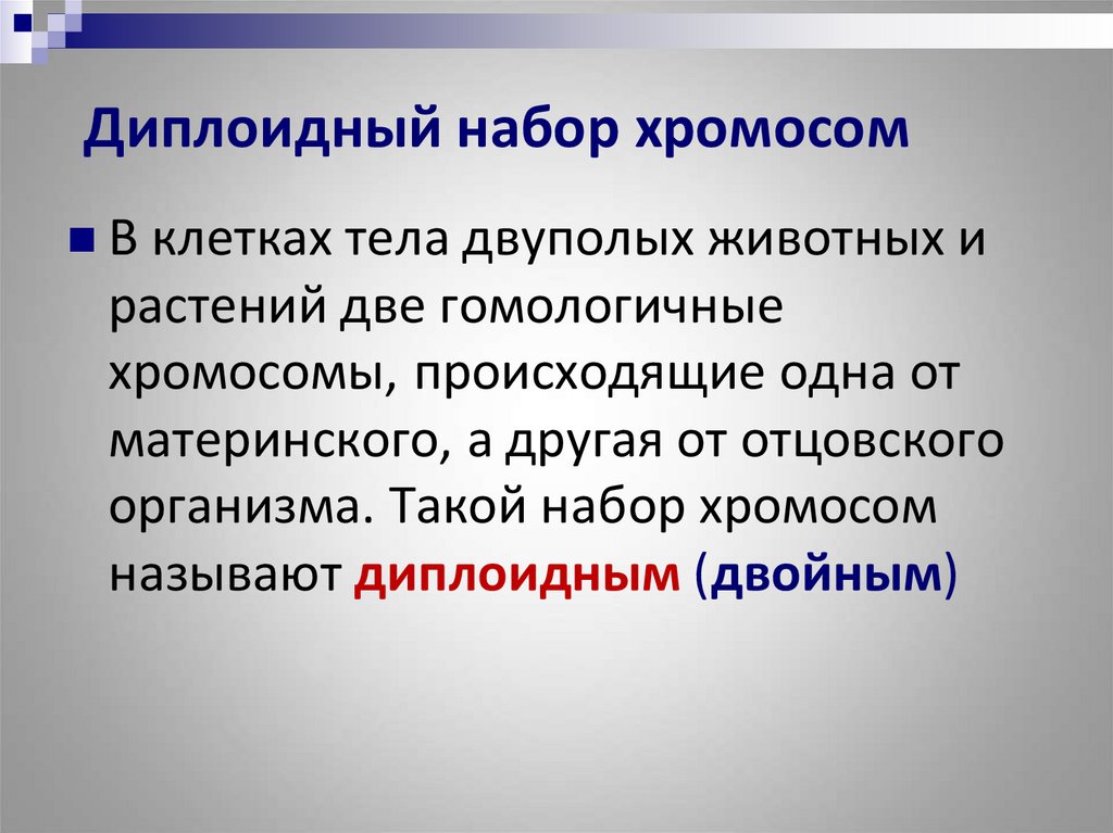 Диплоидным набором хромосом называют. Восстановление диплоидного набора хромосом.