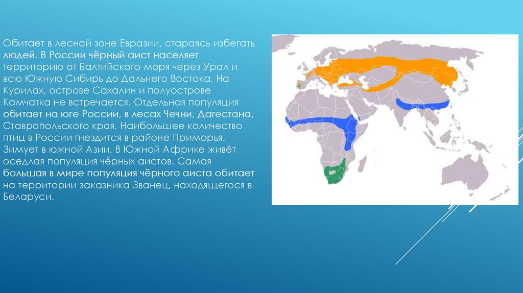 Зоны обитания. Черный Аист ареал обитания. Ареал обитания черного аиста на карте. Место обитания аистов. Ареал обитания чёрных аистов.