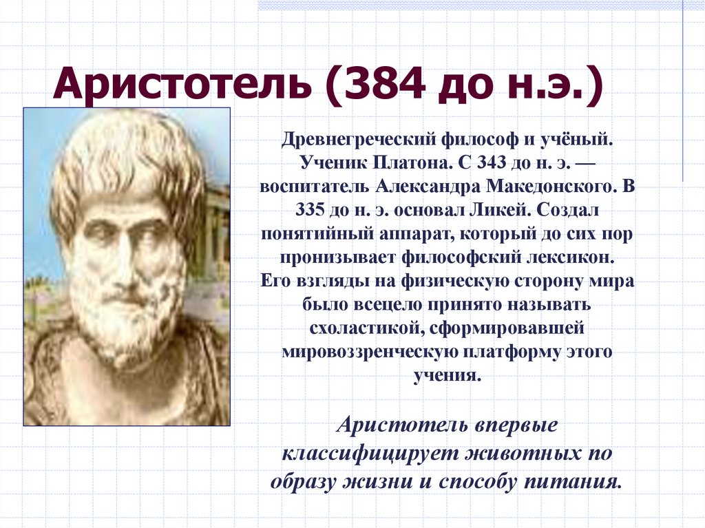 Аристотель (384 до н.э.)