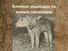 Влияние радиации на живые организмы