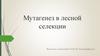 Мутагенез в лесной селекции