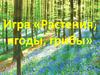 Игра «Растения, ягоды, грибы»
