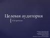 Целевая аудитория и её проблемы