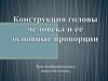 Конструкция головы человека и её основные пропорции. 6 класс