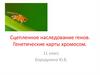 Сцепленное наследование генов. Генетические карты хромосом