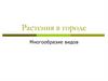 Растения в городе