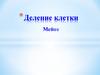 Деление клетки