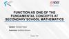 Function as one of the fundamental concepts at secondary school mathematics