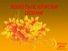 Золотые краски осени