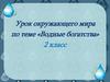 Водные богатства (2 класс)