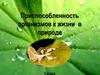 Приспособленность организмов к жизни в природе